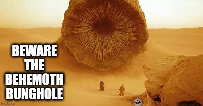 BEWARE THE BEHEMOTH BUNGHOLE | image tagged in dune,bunghole | made w/ Imgflip meme maker