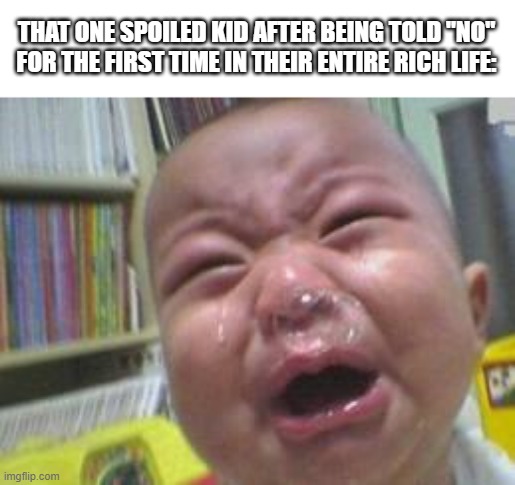 WWWAAA | THAT ONE SPOILED KID AFTER BEING TOLD "NO" FOR THE FIRST TIME IN THEIR ENTIRE RICH LIFE: | image tagged in funny crying baby | made w/ Imgflip meme maker