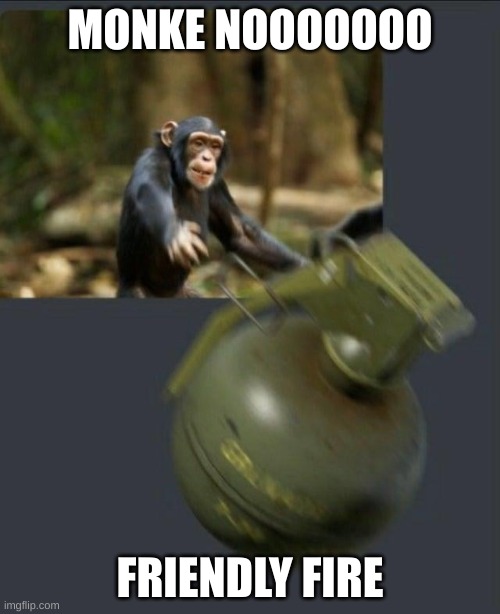 Monkey throwing grenade | MONKE NOOOOOOO; FRIENDLY FIRE | image tagged in monkey throwing grenade | made w/ Imgflip meme maker