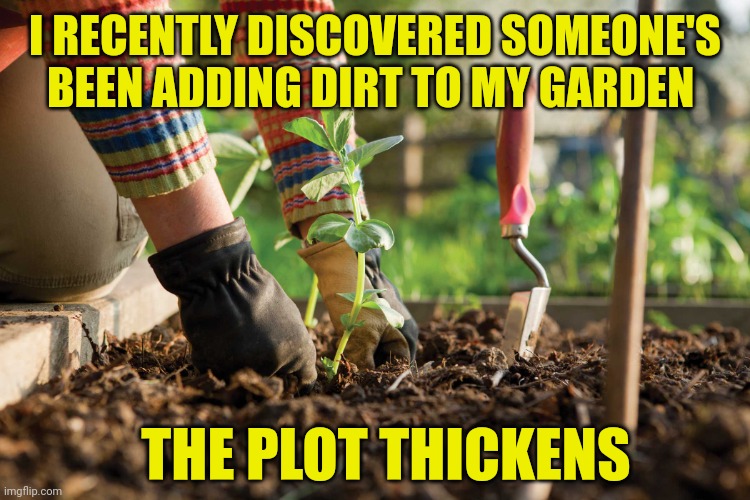 Gardening | I RECENTLY DISCOVERED SOMEONE'S BEEN ADDING DIRT TO MY GARDEN; THE PLOT THICKENS | image tagged in gardening | made w/ Imgflip meme maker