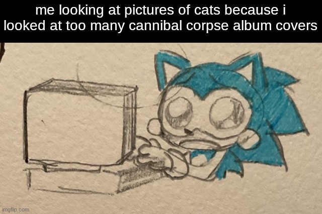 sonic computer | me looking at pictures of cats because i looked at too many cannibal corpse album covers | image tagged in sonic computer | made w/ Imgflip meme maker