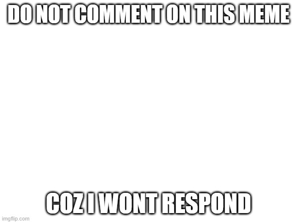 DO NOT COMMENT ON THIS MEME; COZ I WONT RESPOND | made w/ Imgflip meme maker