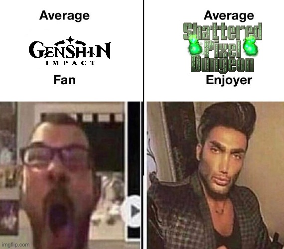 Average Fan vs. Average Enjoyer | image tagged in average fan vs average enjoyer | made w/ Imgflip meme maker