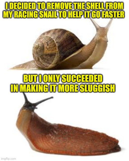 I DECIDED TO REMOVE THE SHELL FROM MY RACING SNAIL TO HELP IT GO FASTER; BUT I ONLY SUCCEEDED IN MAKING IT MORE SLUGGISH | image tagged in snail,slug life | made w/ Imgflip meme maker