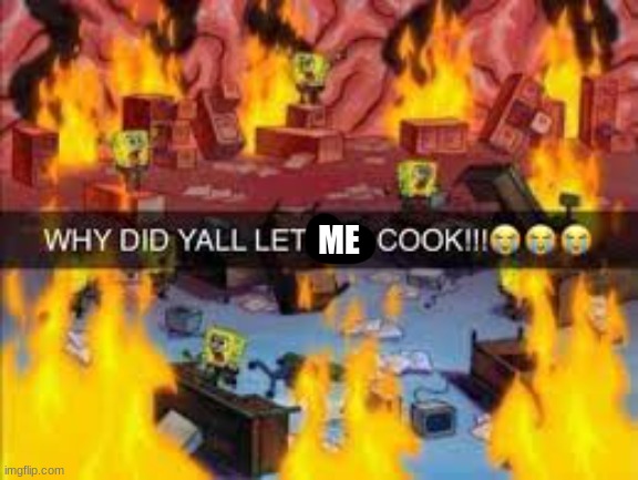Why did y’all let him cook | ME | image tagged in why did y all let him cook | made w/ Imgflip meme maker