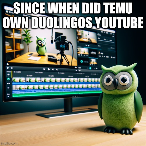 How did they get so much money | SINCE WHEN DID TEMU OWN DUOLINGOS YOUTUBE | image tagged in temu,duolingo,youtube | made w/ Imgflip meme maker