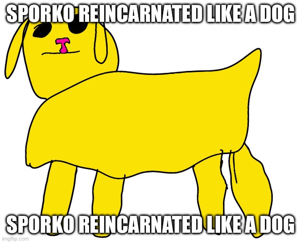 Sporko reincarnated like a dog | SPORKO REINCARNATED LIKE A DOG; SPORKO REINCARNATED LIKE A DOG | made w/ Imgflip meme maker