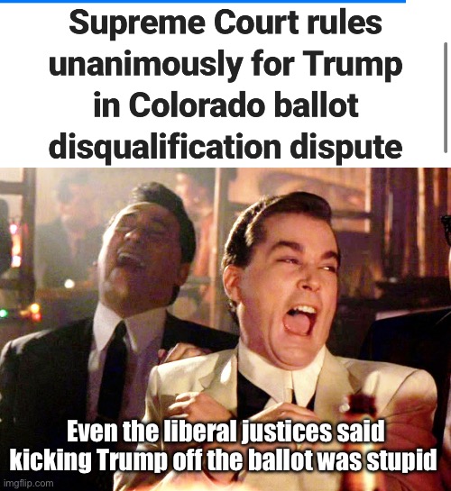 Kangaroo court | Even the liberal justices said kicking Trump off the ballot was stupid | image tagged in memes,good fellas hilarious,politics lol,derp,government corruption | made w/ Imgflip meme maker