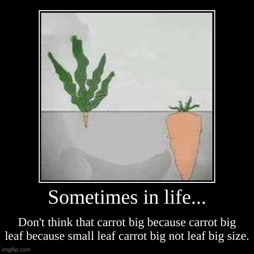 Remember this one day. | Sometimes in life... | Don't think that carrot big because carrot big leaf because small leaf carrot big not leaf big size. | image tagged in funny,demotivationals,motivation | made w/ Imgflip demotivational maker