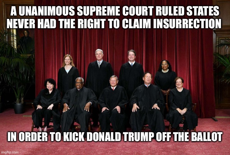 The Insurrection Claims Were Just a Sham to Attempt to Ban the Democratic Process in America | A UNANIMOUS SUPREME COURT RULED STATES NEVER HAD THE RIGHT TO CLAIM INSURRECTION; IN ORDER TO KICK DONALD TRUMP OFF THE BALLOT | image tagged in supreme court 2023,libtards,liberal hypocrisy,police state,new normal | made w/ Imgflip meme maker