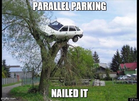 Nailed it | PARALLEL PARKING NAILED IT | image tagged in memes,secure parking | made w/ Imgflip meme maker