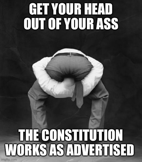 Head Up Ass | GET YOUR HEAD OUT OF YOUR ASS THE CONSTITUTION WORKS AS ADVERTISED | image tagged in head up ass | made w/ Imgflip meme maker