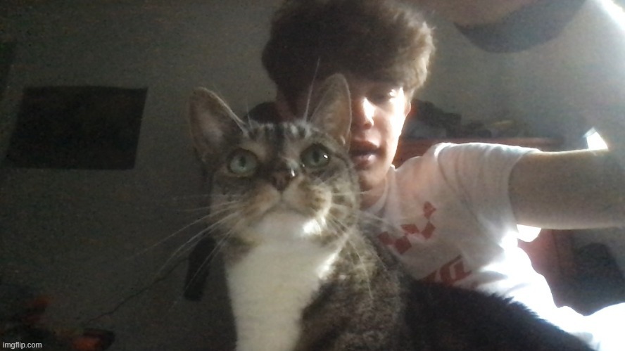 mai cat | image tagged in this is mai cat | made w/ Imgflip meme maker
