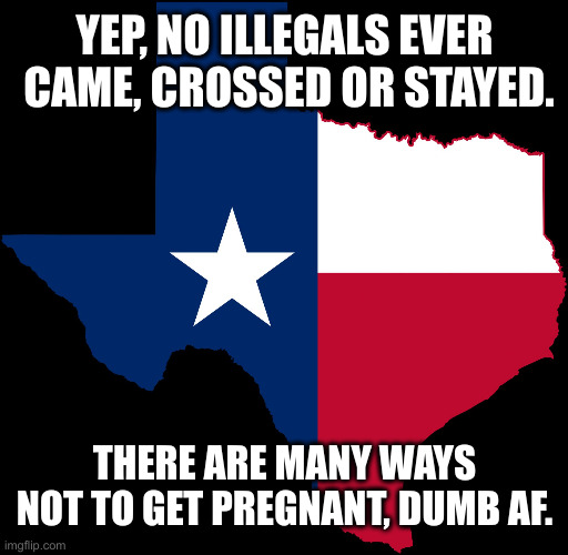 Texas ! | YEP, NO ILLEGALS EVER  CAME, CROSSED OR STAYED. THERE ARE MANY WAYS NOT TO GET PREGNANT, DUMB AF. | image tagged in texas map,funny memes,memes | made w/ Imgflip meme maker