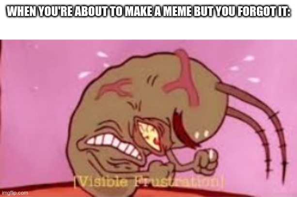 Made this meme for the exact reason | WHEN YOU'RE ABOUT TO MAKE A MEME BUT YOU FORGOT IT: | image tagged in visible frustration | made w/ Imgflip meme maker