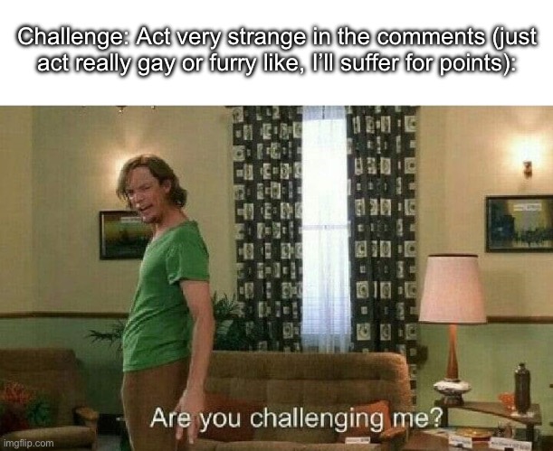Are you challenging me? | Challenge: Act very strange in the comments (just act really gay or furry like, I’ll suffer for points): | image tagged in are you challenging me | made w/ Imgflip meme maker
