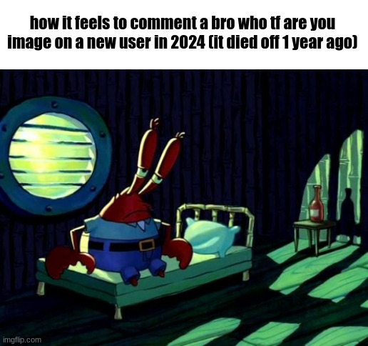 real | how it feels to comment a bro who tf are you image on a new user in 2024 (it died off 1 year ago) | image tagged in sad mr krabs | made w/ Imgflip meme maker