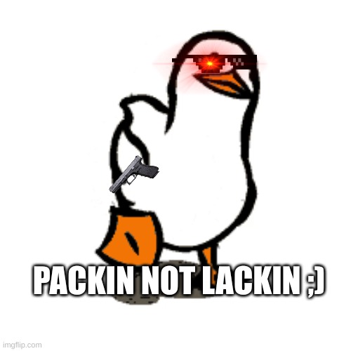duck not lackin | PACKIN NOT LACKIN ;) | image tagged in duck,funny,fun,everything | made w/ Imgflip meme maker