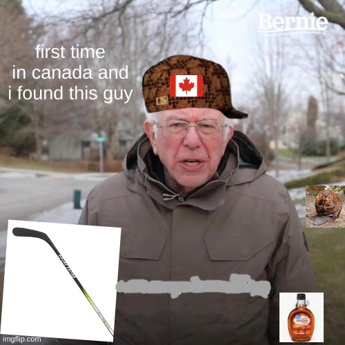 Canada recommended | first time in canada and i found this guy | image tagged in memes,bernie i am once again asking for your support | made w/ Imgflip meme maker