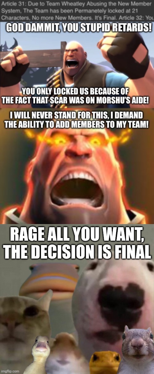 RAGE ALL YOU WANT, THE DECISION IS FINAL | image tagged in the council remastered | made w/ Imgflip meme maker