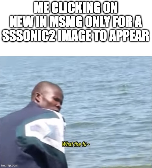 What the fu- | ME CLICKING ON NEW IN MSMG ONLY FOR A SSSONIC2 IMAGE TO APPEAR | image tagged in what the fu- | made w/ Imgflip meme maker