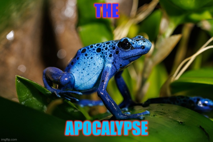 frog lol | THE; APOCALYPSE | image tagged in frog | made w/ Imgflip meme maker