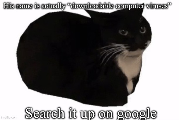 It’s not Maxwell | His name is actually “downloadable computer viruses”; Search it up on google | image tagged in maxwell the cat | made w/ Imgflip meme maker