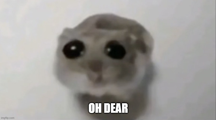 sad hamster | OH DEAR | image tagged in sad hamster | made w/ Imgflip meme maker