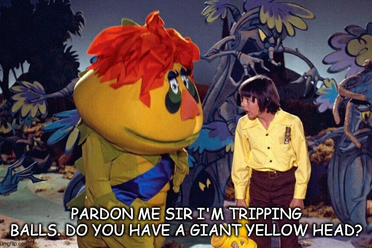 Who's your friend when things get tough | PARDON ME SIR I'M TRIPPING BALLS. DO YOU HAVE A GIANT YELLOW HEAD? | image tagged in kids these days | made w/ Imgflip meme maker