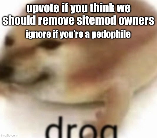 Drog | upvote if you think we should remove sitemod owners; ignore if you’re a pedophile | image tagged in drog | made w/ Imgflip meme maker