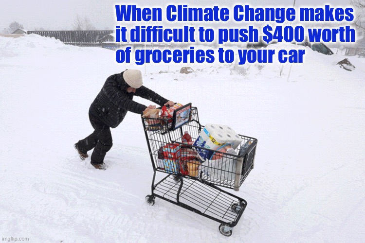 It’s a liberal’s world and we just get to live in it | When Climate Change makes 
it difficult to push $400 worth 
of groceries to your car | image tagged in snow | made w/ Imgflip meme maker