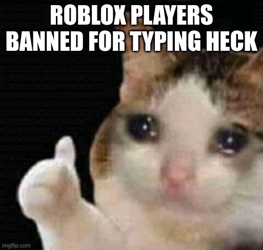 sad thumbs up cat | ROBLOX PLAYERS BANNED FOR TYPING HECK | image tagged in sad thumbs up cat | made w/ Imgflip meme maker