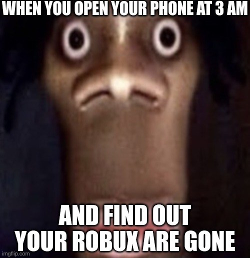 Quandale dingle | WHEN YOU OPEN YOUR PHONE AT 3 AM; AND FIND OUT YOUR ROBUX ARE GONE | image tagged in quandale dingle | made w/ Imgflip meme maker
