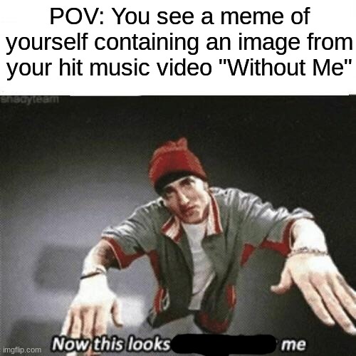 I am going insane | POV: You see a meme of yourself containing an image from your hit music video "Without Me" | image tagged in now this looks like a job for me | made w/ Imgflip meme maker