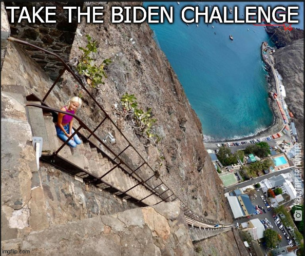 Biden challenge | TAKE THE BIDEN CHALLENGE | image tagged in biden,challenge,biden challenge | made w/ Imgflip meme maker