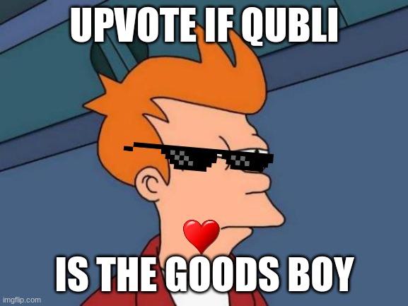 Hello | UPVOTE IF QUBLI; IS THE GOODS BOY | image tagged in memes,futurama fry | made w/ Imgflip meme maker