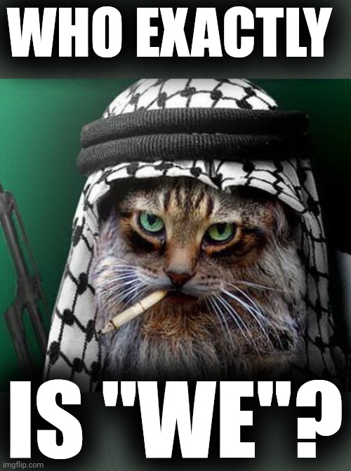Sarcastic Terrorist Cat | WHO EXACTLY IS "WE"? | image tagged in sarcastic terrorist cat | made w/ Imgflip meme maker