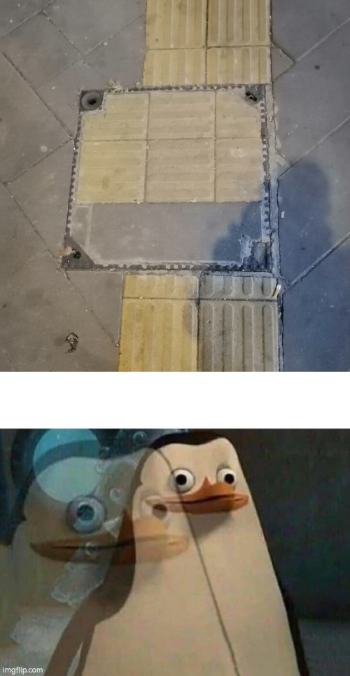 Is this okay? | image tagged in the penguins of madagascar,line,ground | made w/ Imgflip meme maker
