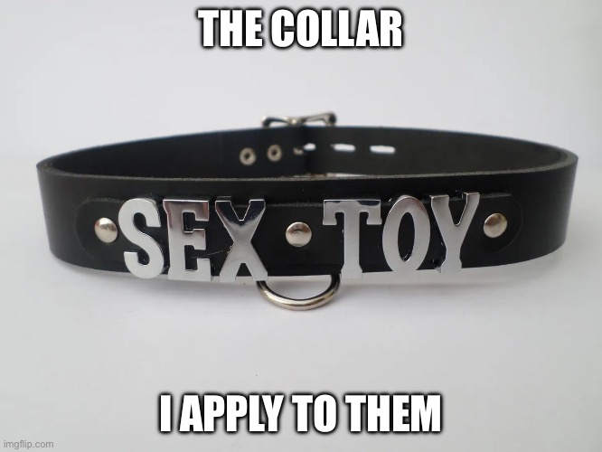 Collar | THE COLLAR; I APPLY TO THEM | image tagged in collar | made w/ Imgflip meme maker