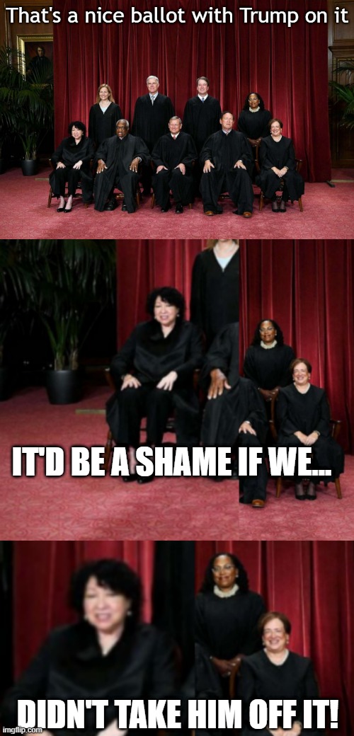 Constitutionality Reigns Supreme! | IT'D BE A SHAME IF WE... DIDN'T TAKE HIM OFF IT! | image tagged in politics | made w/ Imgflip meme maker
