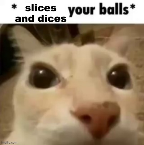 X your balls | slices and dices | image tagged in x your balls | made w/ Imgflip meme maker