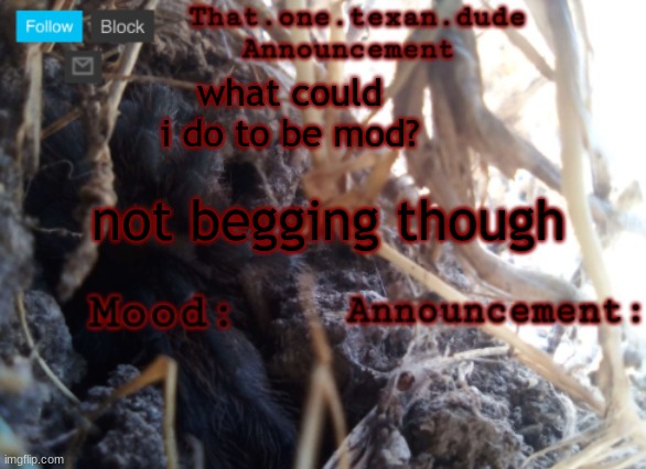 THE that.one.texan.dude announcement template | what could i do to be mod? not begging though | image tagged in the that one texan dude announcement template | made w/ Imgflip meme maker