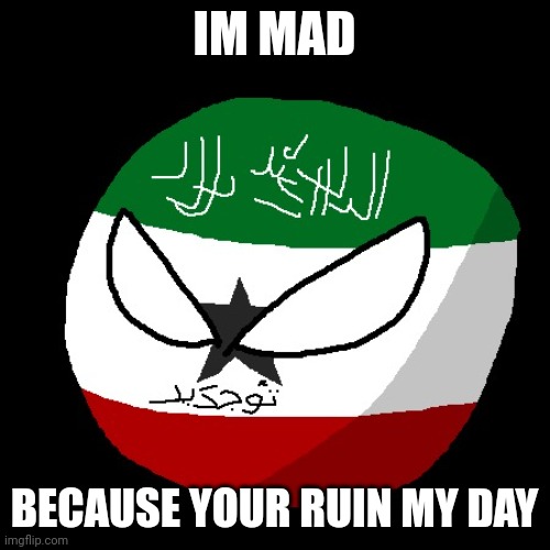 Do You Love Somaliland | IM MAD; BECAUSE YOUR RUIN MY DAY | image tagged in angry somaliland | made w/ Imgflip meme maker