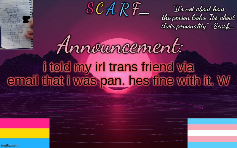 i told my irl trans friend via email that i was pan. hes fine with it. W | made w/ Imgflip meme maker