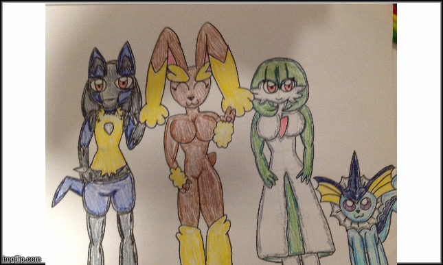 Lucario,Lopunny,Gardevoir and Vaporeon | image tagged in plain white,pokemon,fanart | made w/ Imgflip meme maker