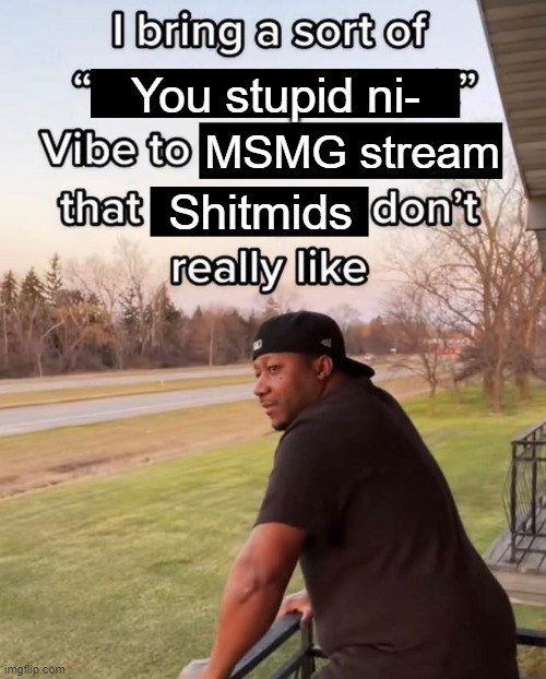 Ni- ght | You stupid ni-; MSMG stream; Shitmids | image tagged in i bring a sort of x vibe to the y | made w/ Imgflip meme maker
