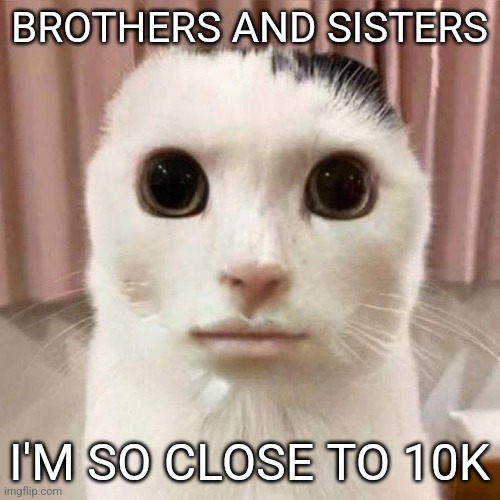 My honest reaction | BROTHERS AND SISTERS; I'M SO CLOSE TO 10K | image tagged in my honest reaction | made w/ Imgflip meme maker