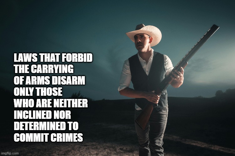 Pro 2nd Amendment | LAWS THAT FORBID
THE CARRYING
OF ARMS DISARM
ONLY THOSE
WHO ARE NEITHER
INCLINED NOR
DETERMINED TO
COMMIT CRIMES | image tagged in 2nd amendment | made w/ Imgflip meme maker