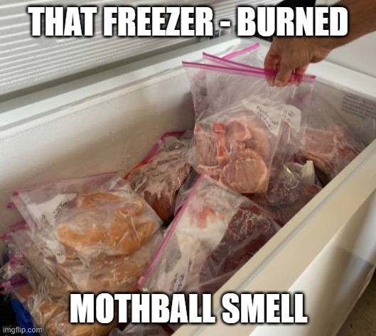 Freezer | THAT FREEZER - BURNED MOTHBALL SMELL | image tagged in freezer | made w/ Imgflip meme maker