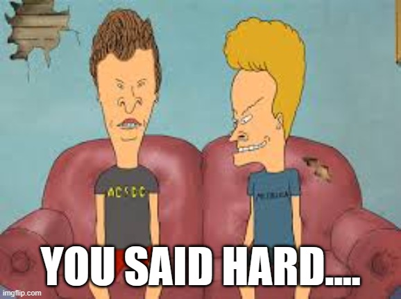 Bevis n Butthead | YOU SAID HARD.... | image tagged in bevis n butthead | made w/ Imgflip meme maker